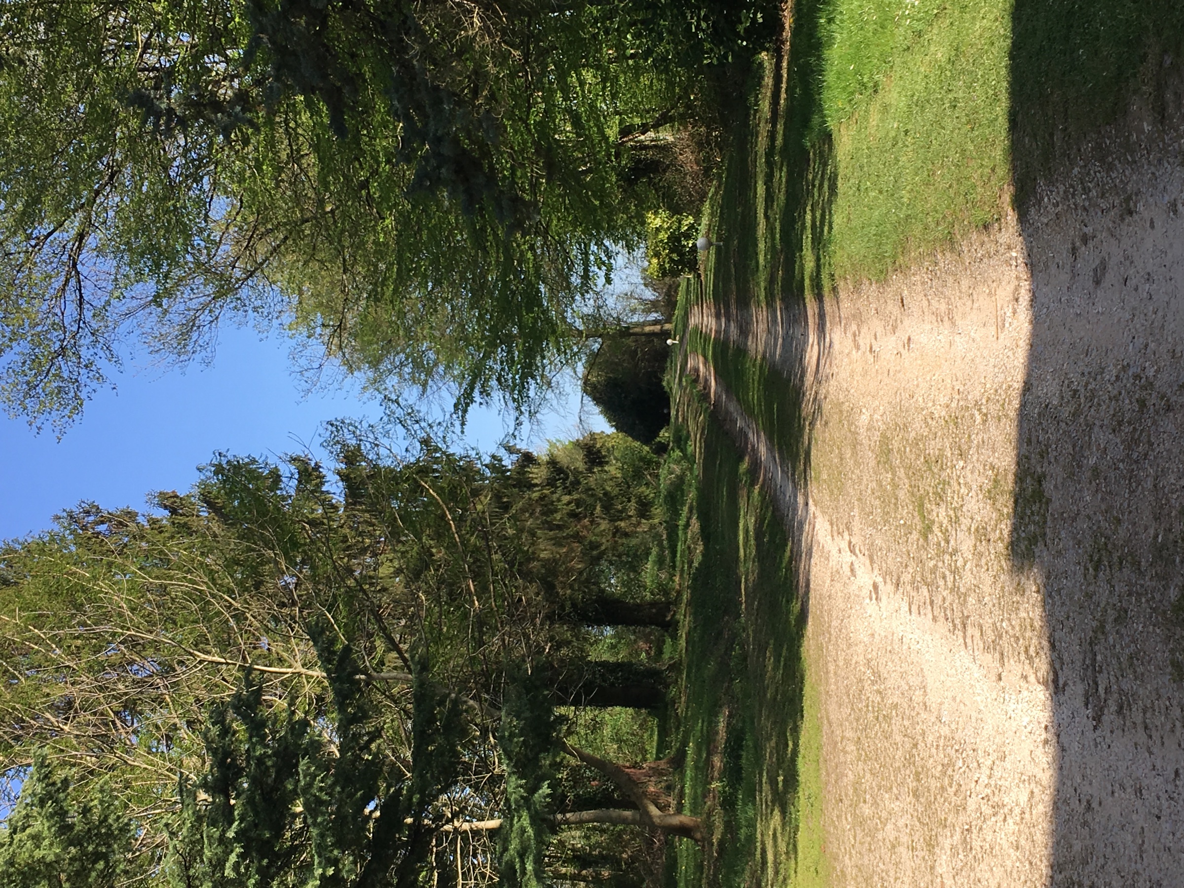 Parc et pleine nature, vue 5