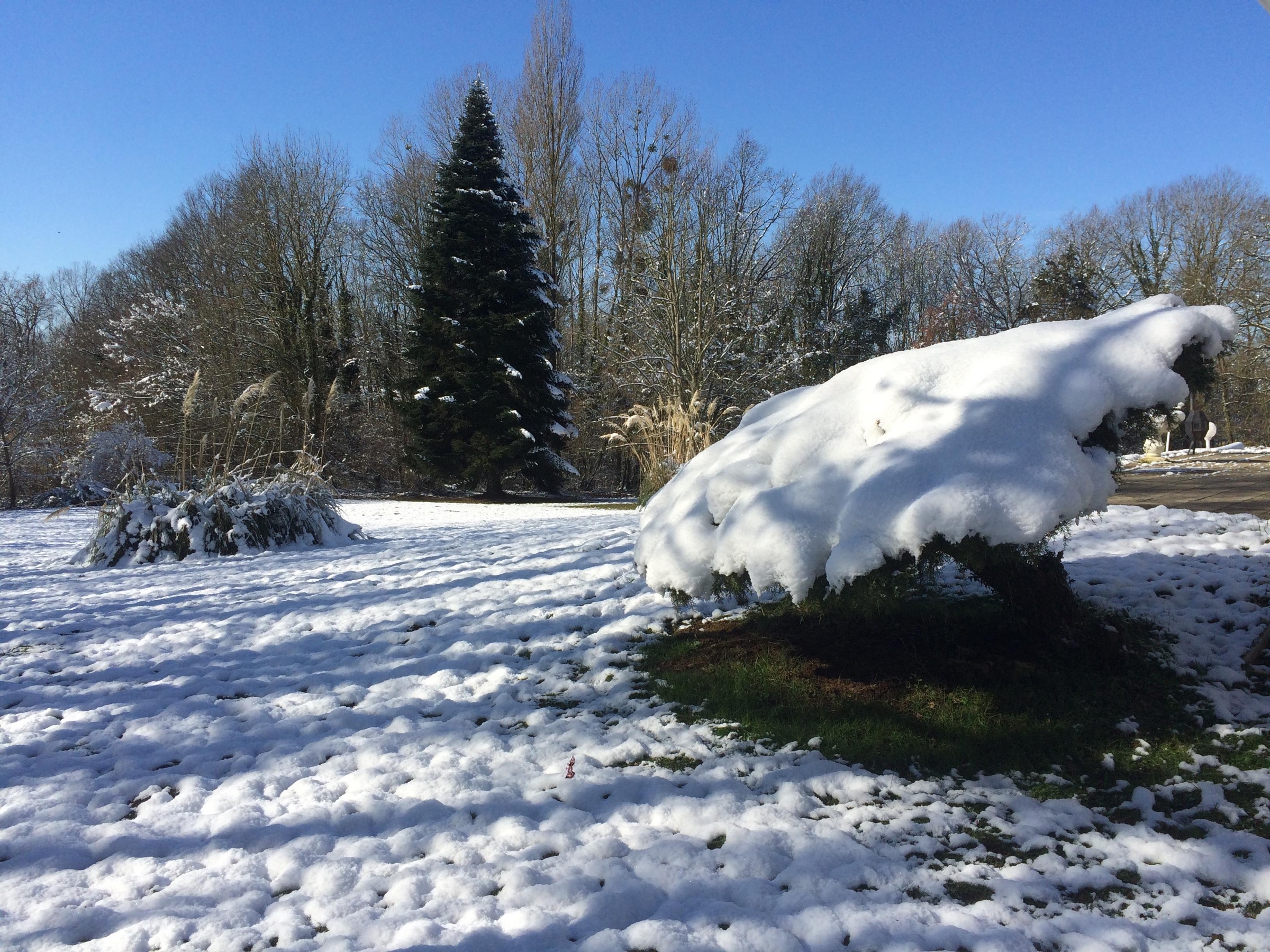 Parc et pleine nature, vue 9