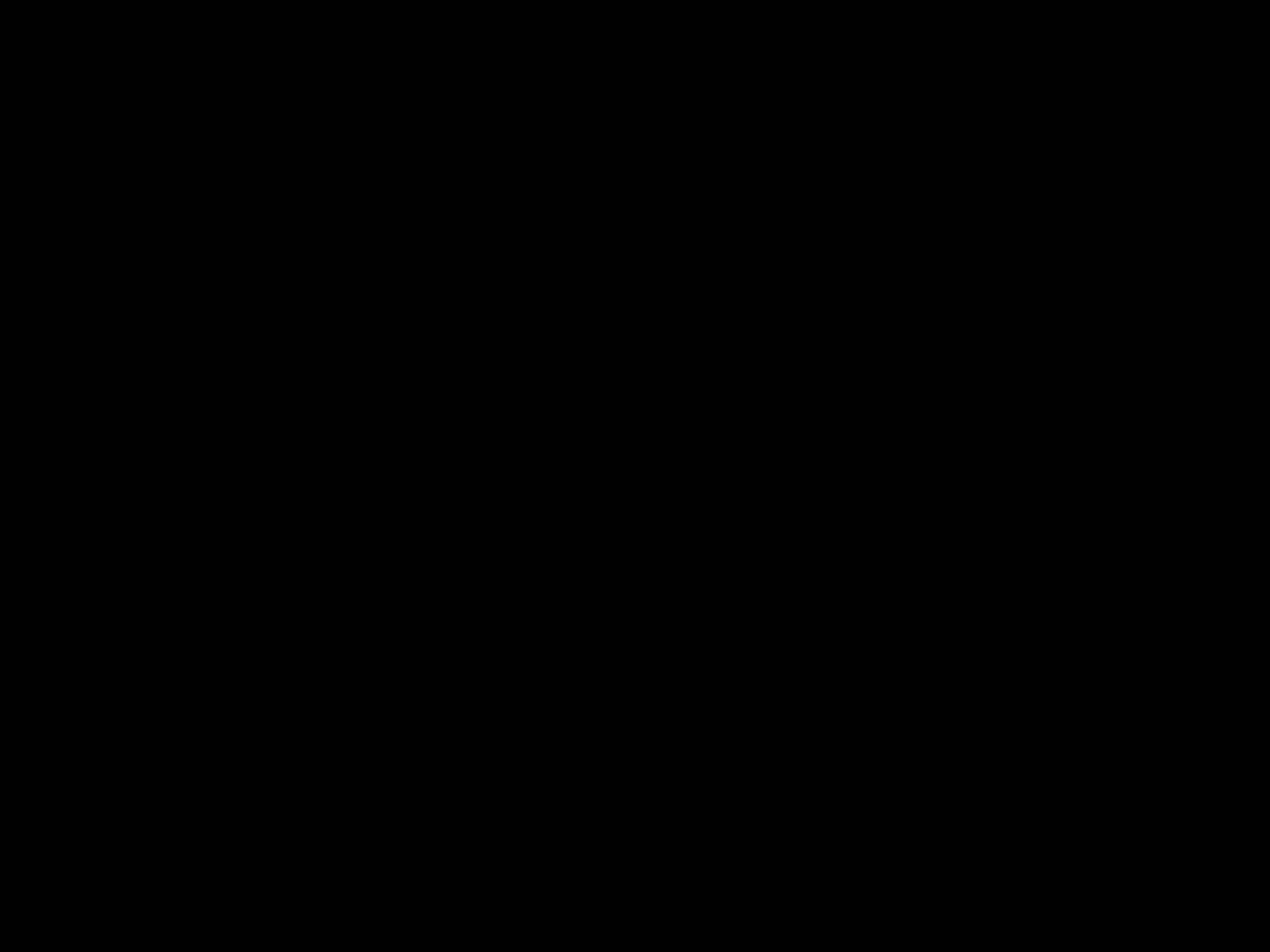 Salon et cheminées, vue 6